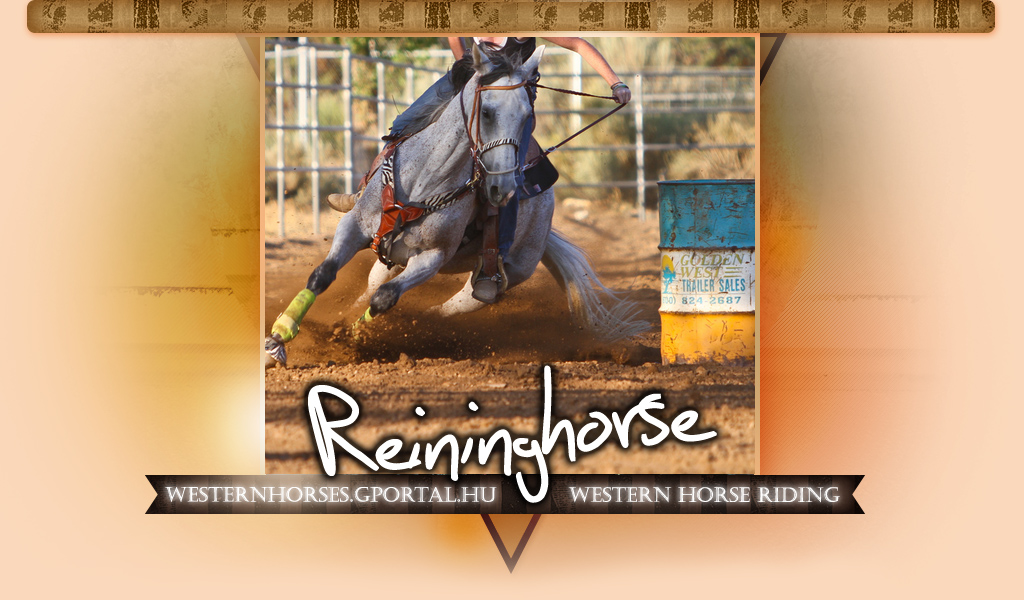 ☆ Reininghorse Western Riding ☆